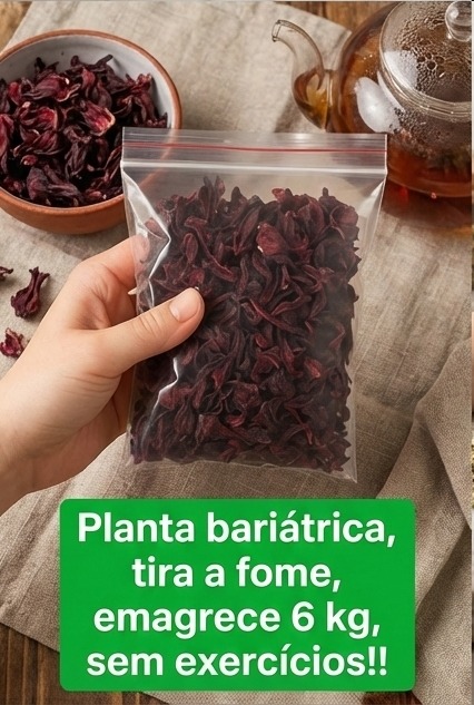 Planta Bariátrica