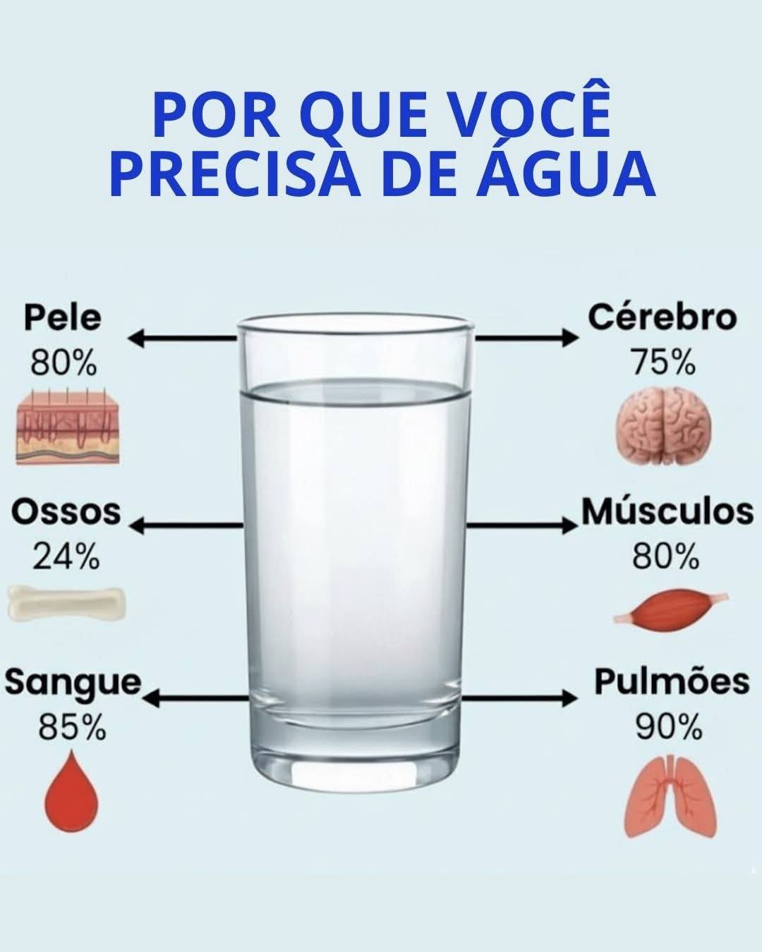 Porque o Teu Corpo Precisa de Água