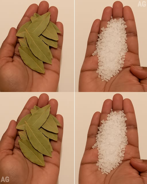 Louro e sal: uma mistura que vale ouro