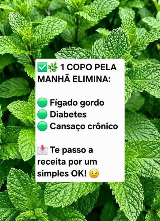 Chá Natural Refrescante de Hortelã
