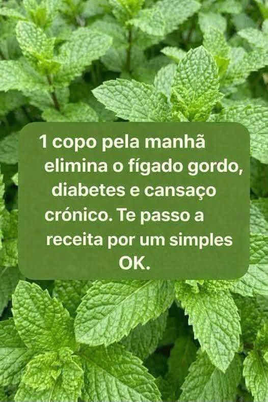 Chá Natural Refrescante de Hortelã