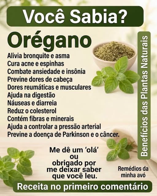 Sabia que o orégano tem benefícios incríveis